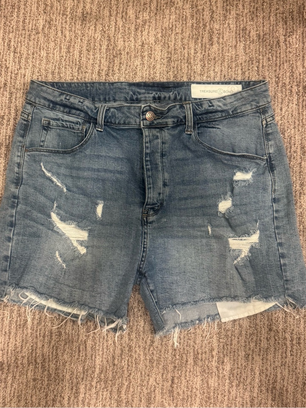 Treasure & Bond Foster Boyfriend High-Rise Distressed Denim Shorts